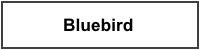 Windabweiser Nissan Bluebird