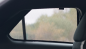 Preview: Car shades Sonnenschutz Tür hinten