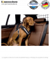 Preview: Allsafe - Hunde Sicherheitsgurt Größe S