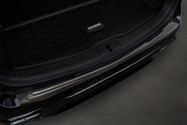 Lexus RX Stainless Steel Rearguard