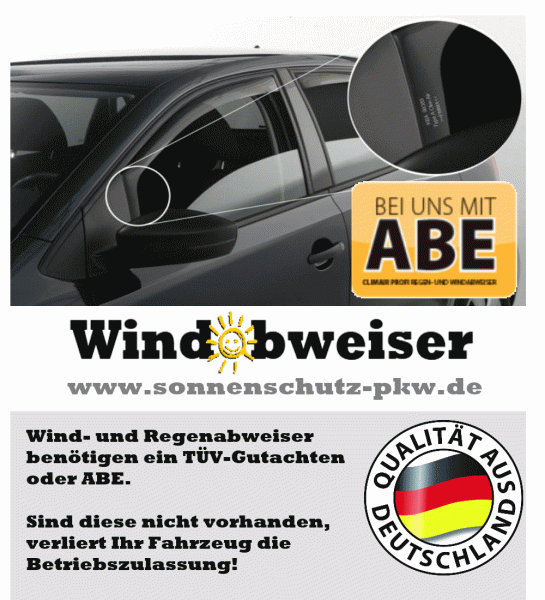 Regenabweiser PROFI Renault Scenic 5-Türer 2000 schwarz