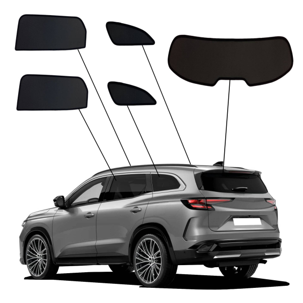 Sonnenschutz Renault Espace SunClip